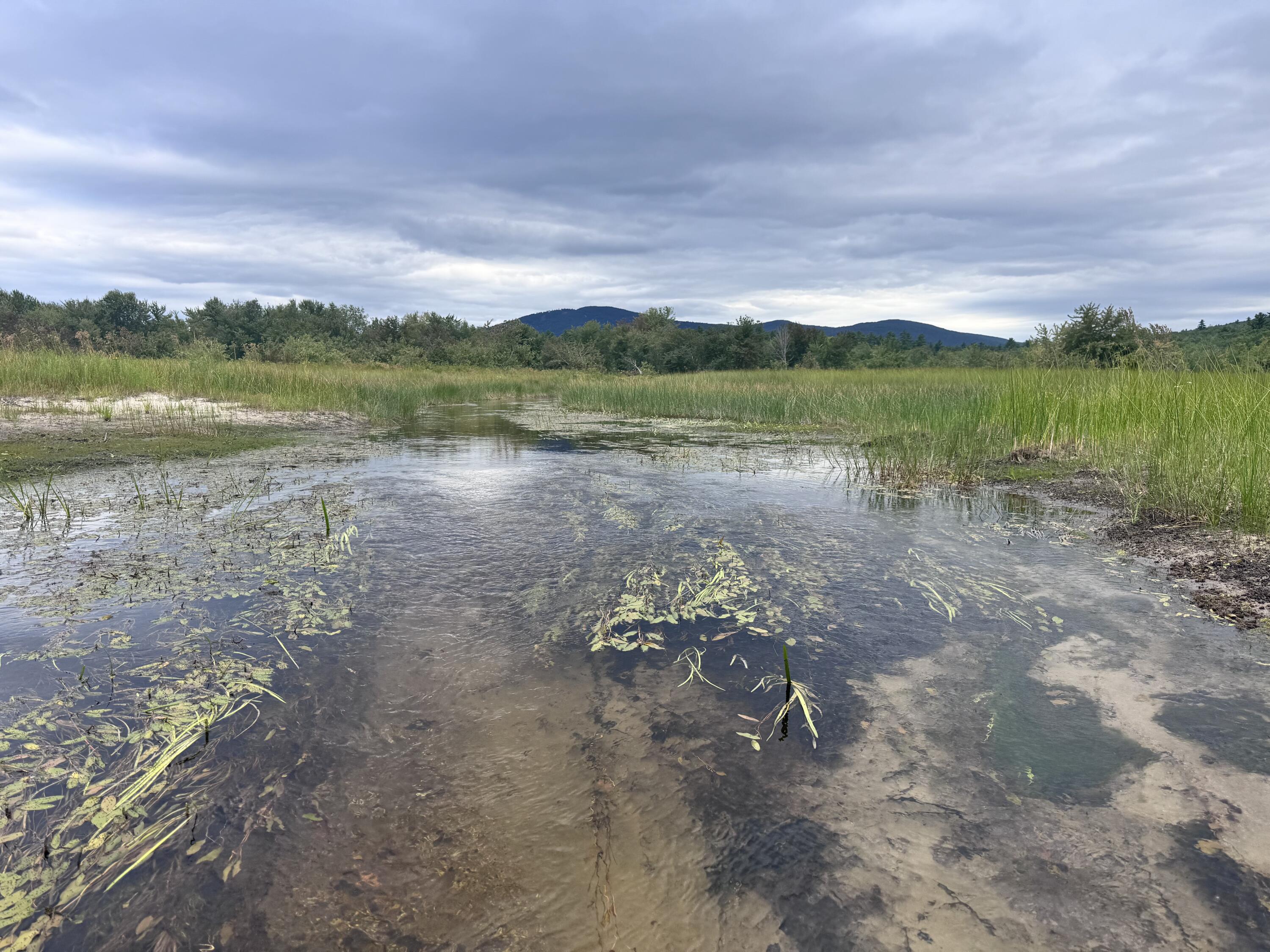 MAP20LOT19 Carter Hill Road Fryeburg ME 04037