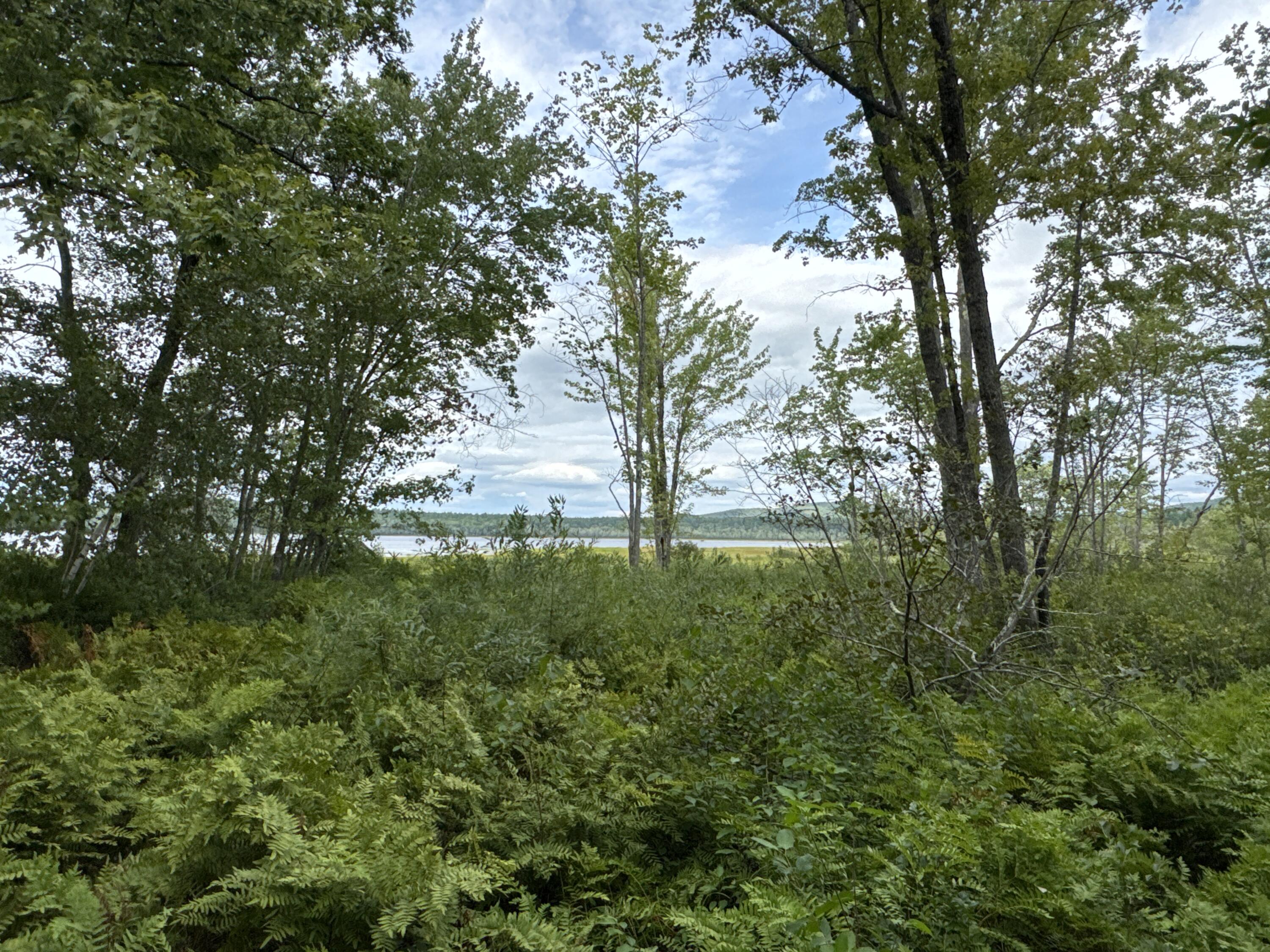 MAP20LOT19 Carter Hill Road Fryeburg ME 04037