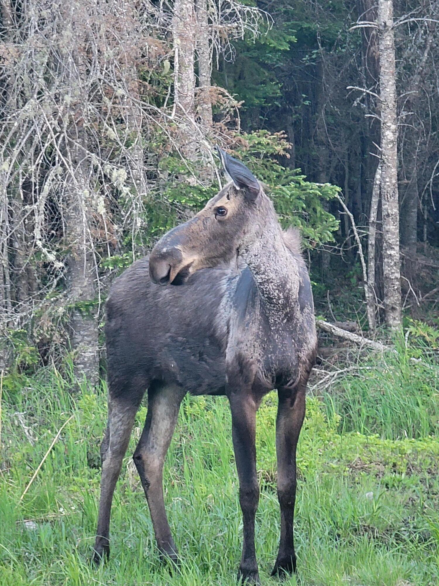 Lot I Pleasant Island Lane Adamstown Twp ME 04970