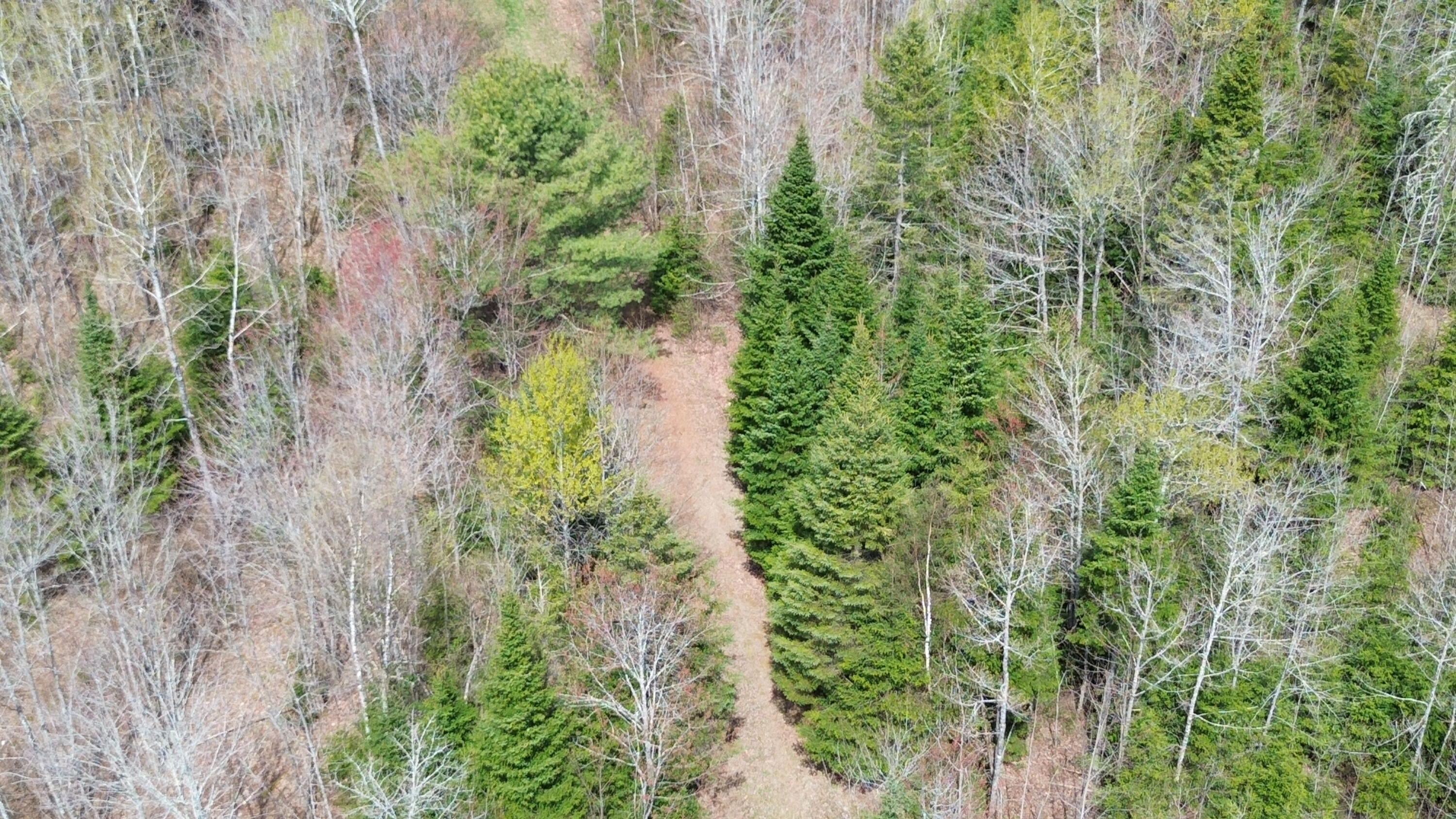 Lot 7 Wilcox Road Cary Plt ME 04471
