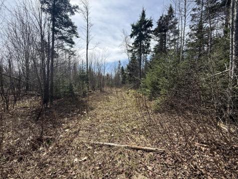 Lot 7 Wilcox Road Cary Plt ME 04471