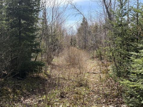 Lot 7 Wilcox Road Cary Plt ME 04471