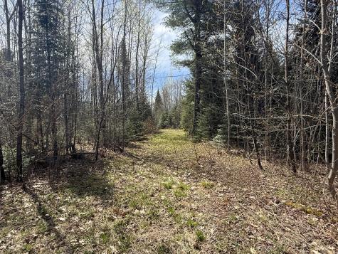 Lot 7 Wilcox Road Cary Plt ME 04471