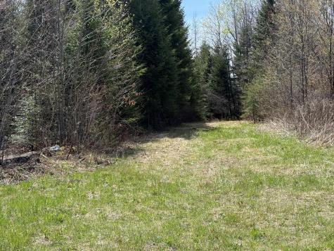 Lot 7 Wilcox Road Cary Plt ME 04471