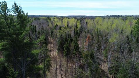 Lot 7 Wilcox Road Cary Plt ME 04471