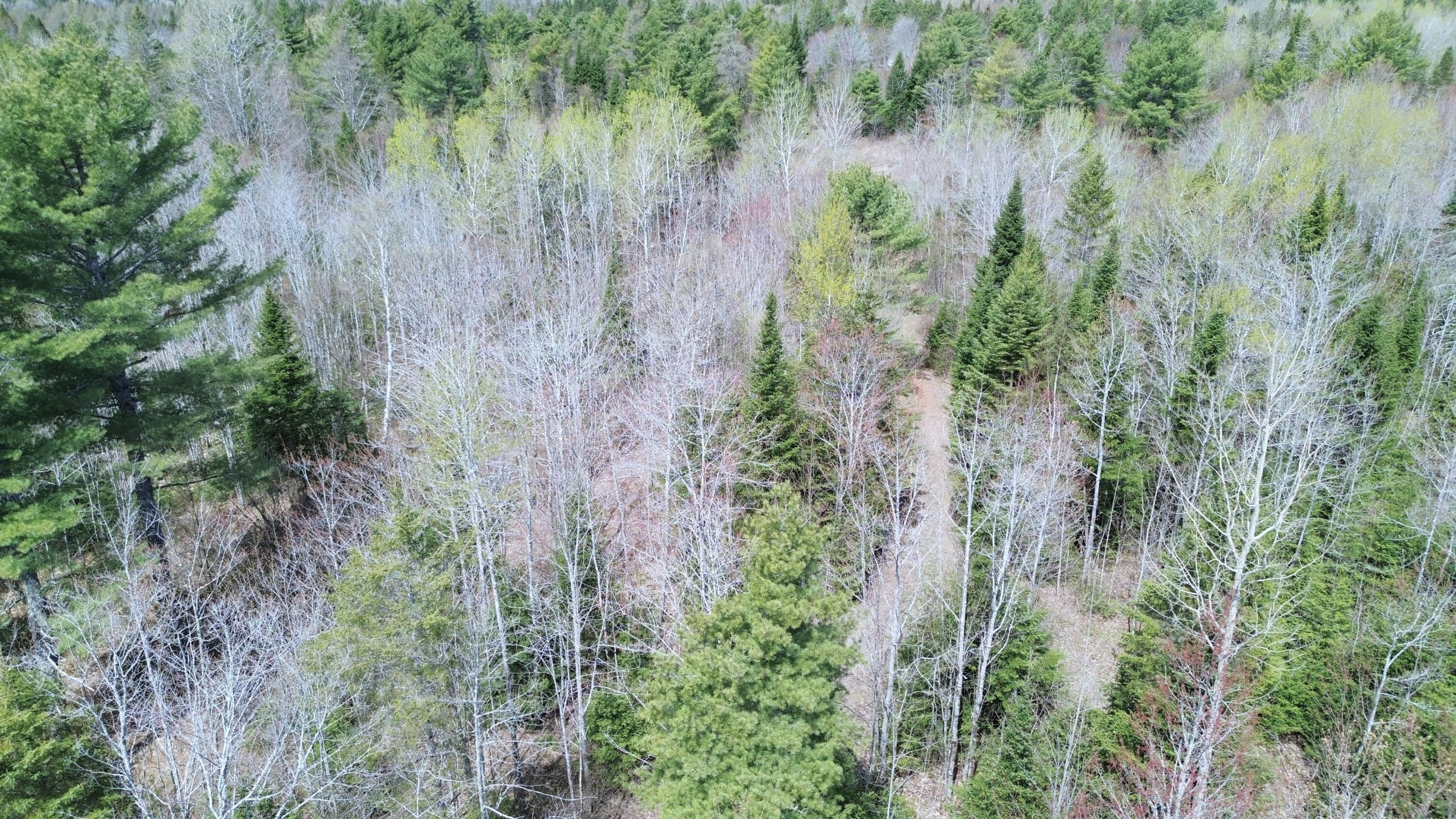 Lot 7 Wilcox Road Cary Plt ME 04471