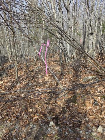 L 10 Moose Ridge Road Oakfield ME 04763