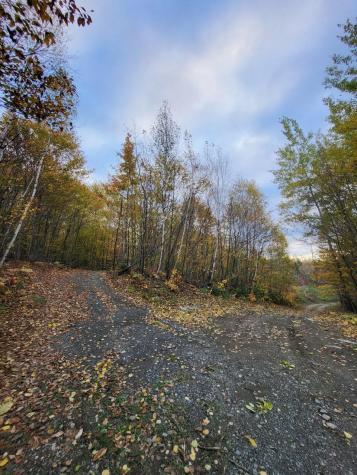 L 10 Moose Ridge Road Oakfield ME 04763