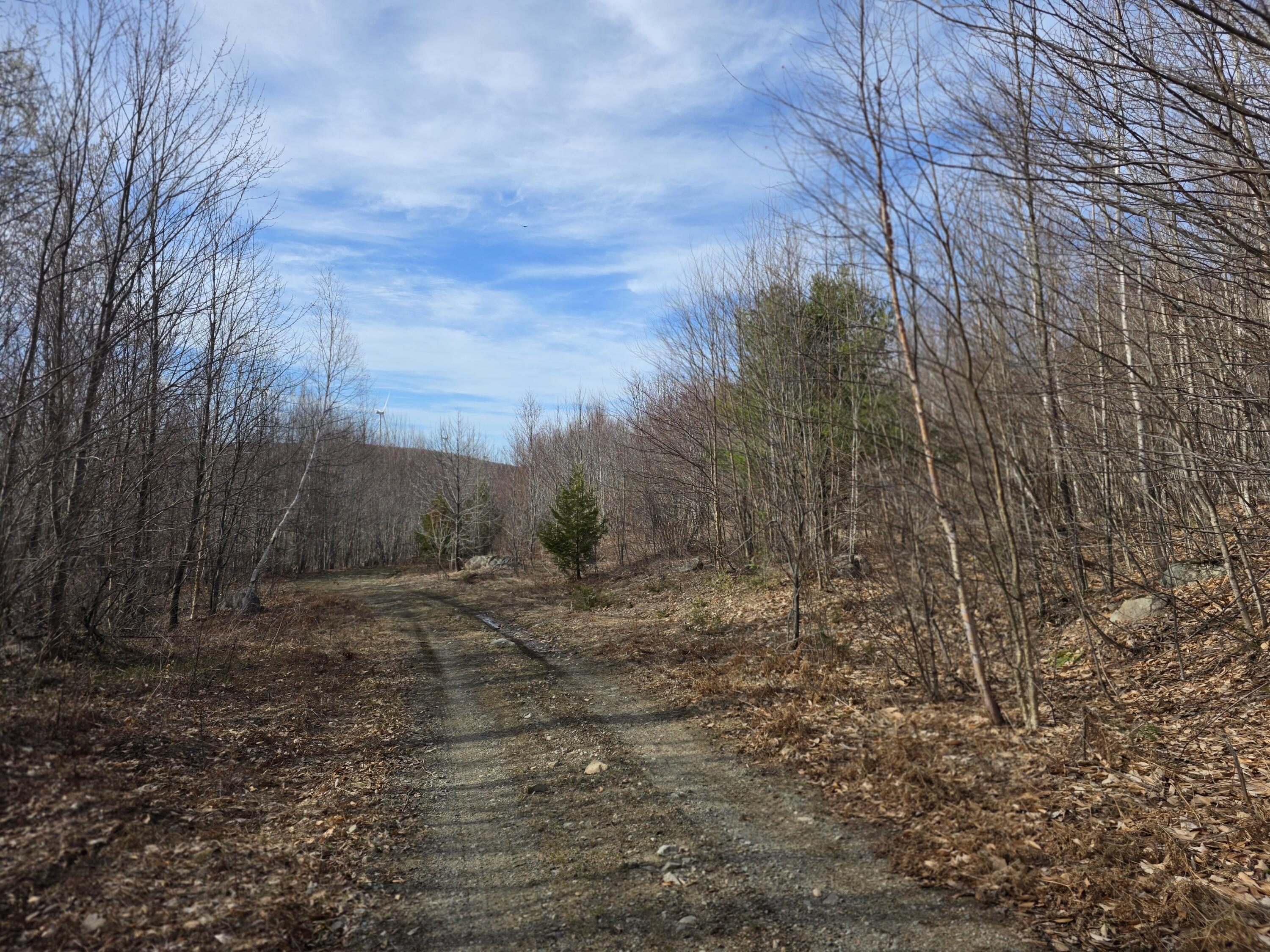 L 10 Moose Ridge Road Oakfield ME 04763