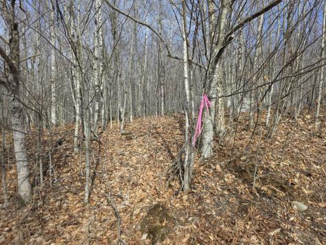 L 10 Moose Ridge Road Oakfield ME 04763