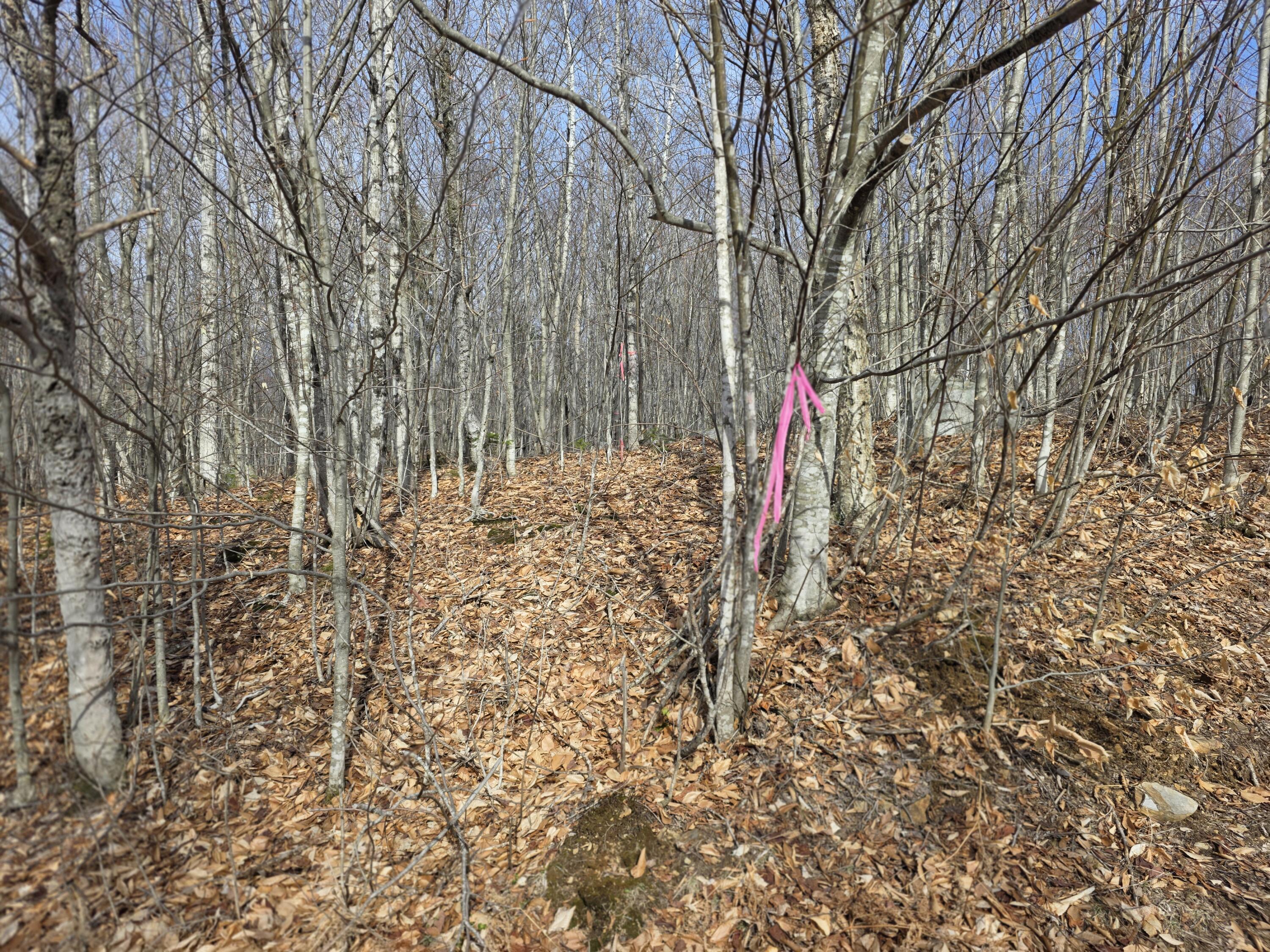 L 10 Moose Ridge Road Oakfield ME 04763