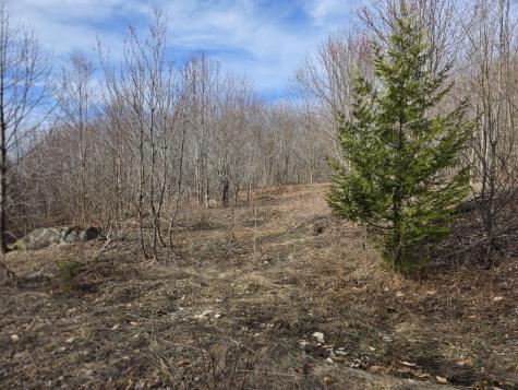 L 10 Moose Ridge Road Oakfield ME 04763