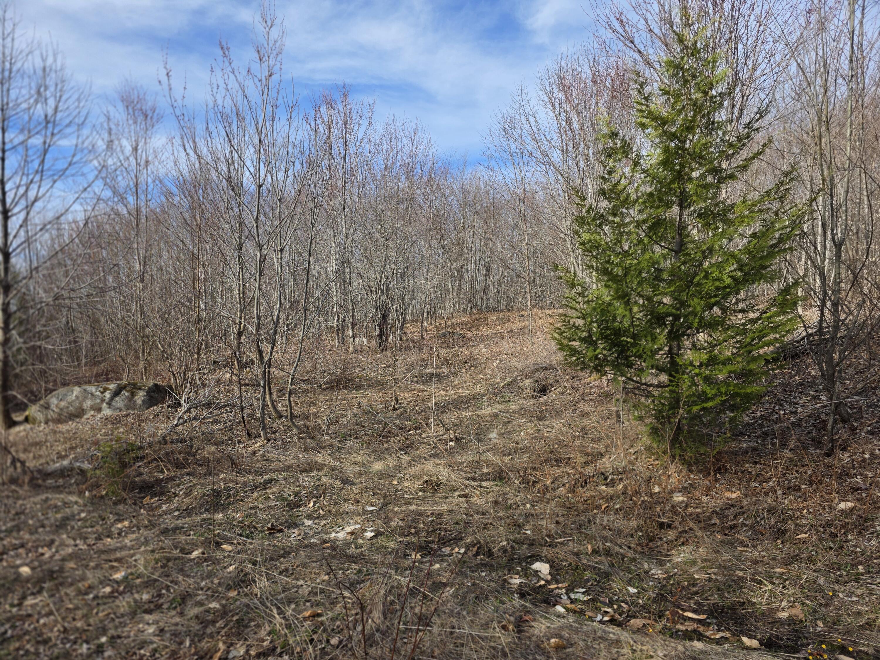L 10 Moose Ridge Road Oakfield ME 04763