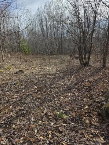 L 10 Moose Ridge Road Oakfield ME 04763