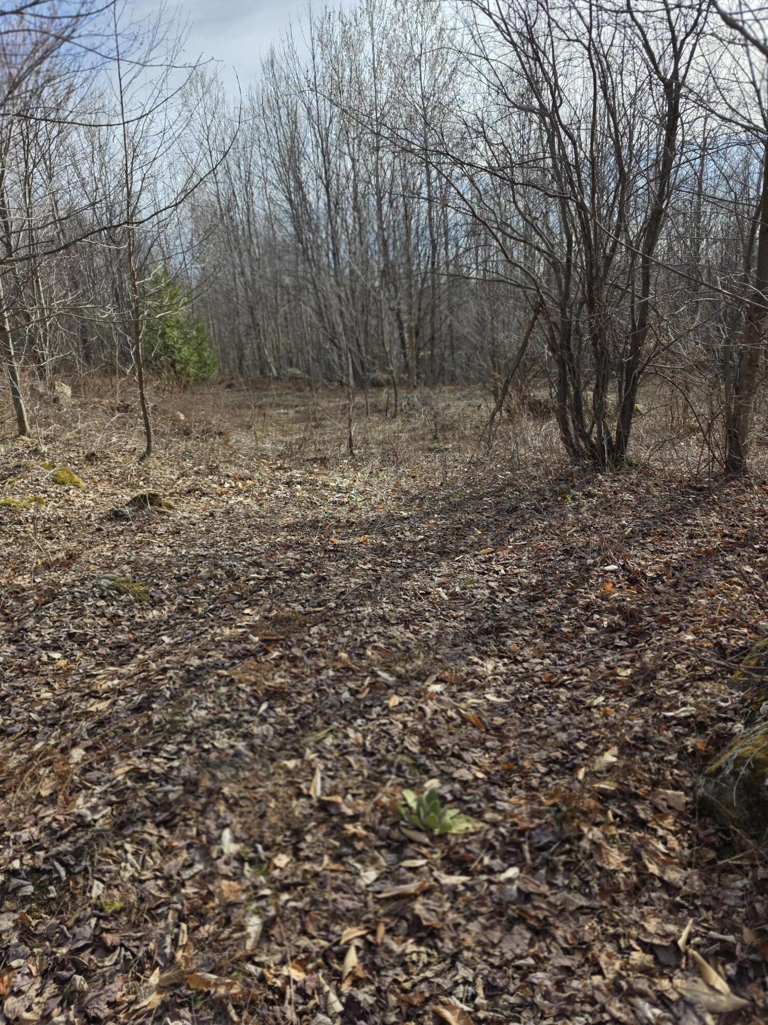 L 10 Moose Ridge Road Oakfield ME 04763