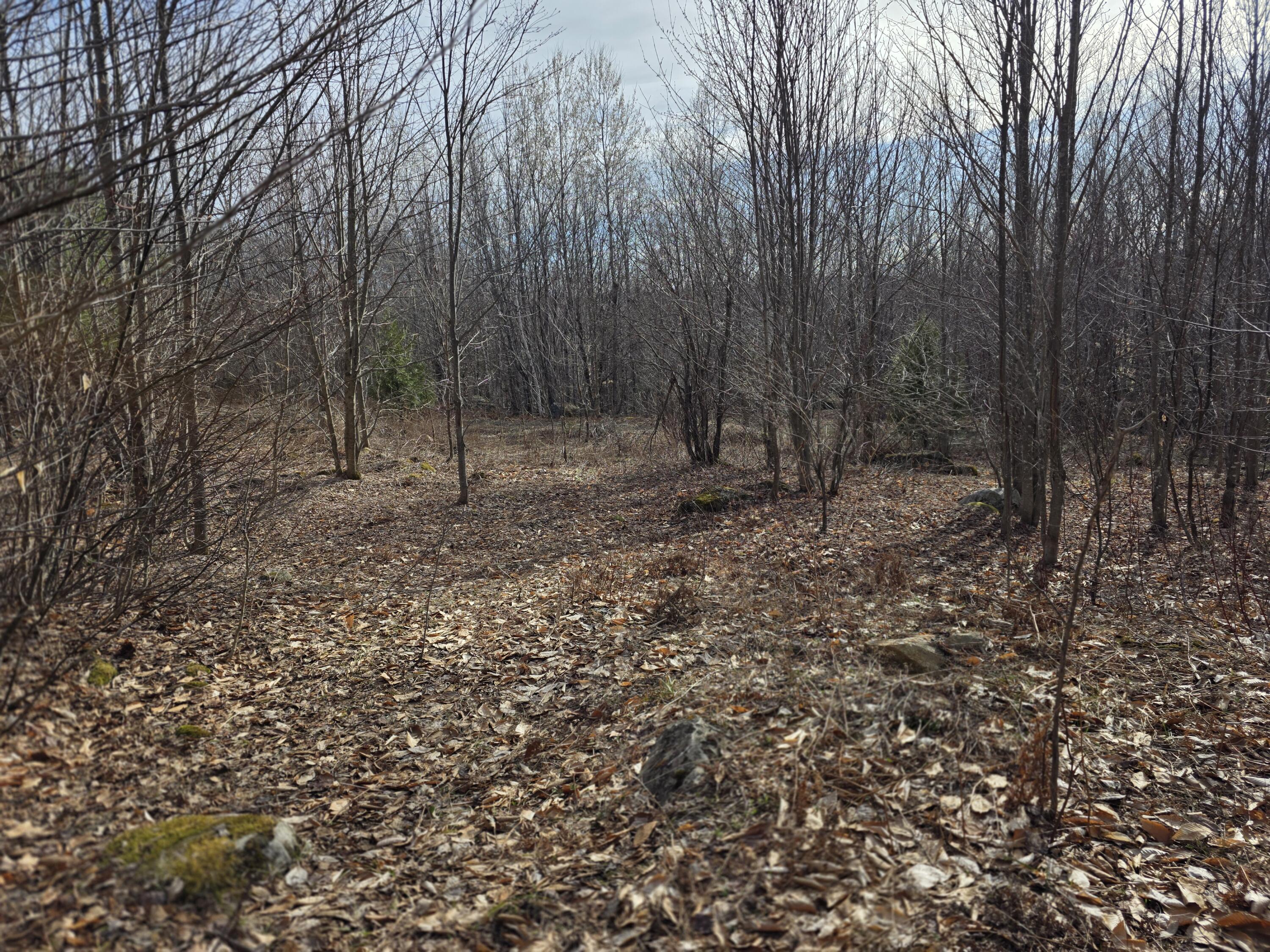 L 10 Moose Ridge Road Oakfield ME 04763