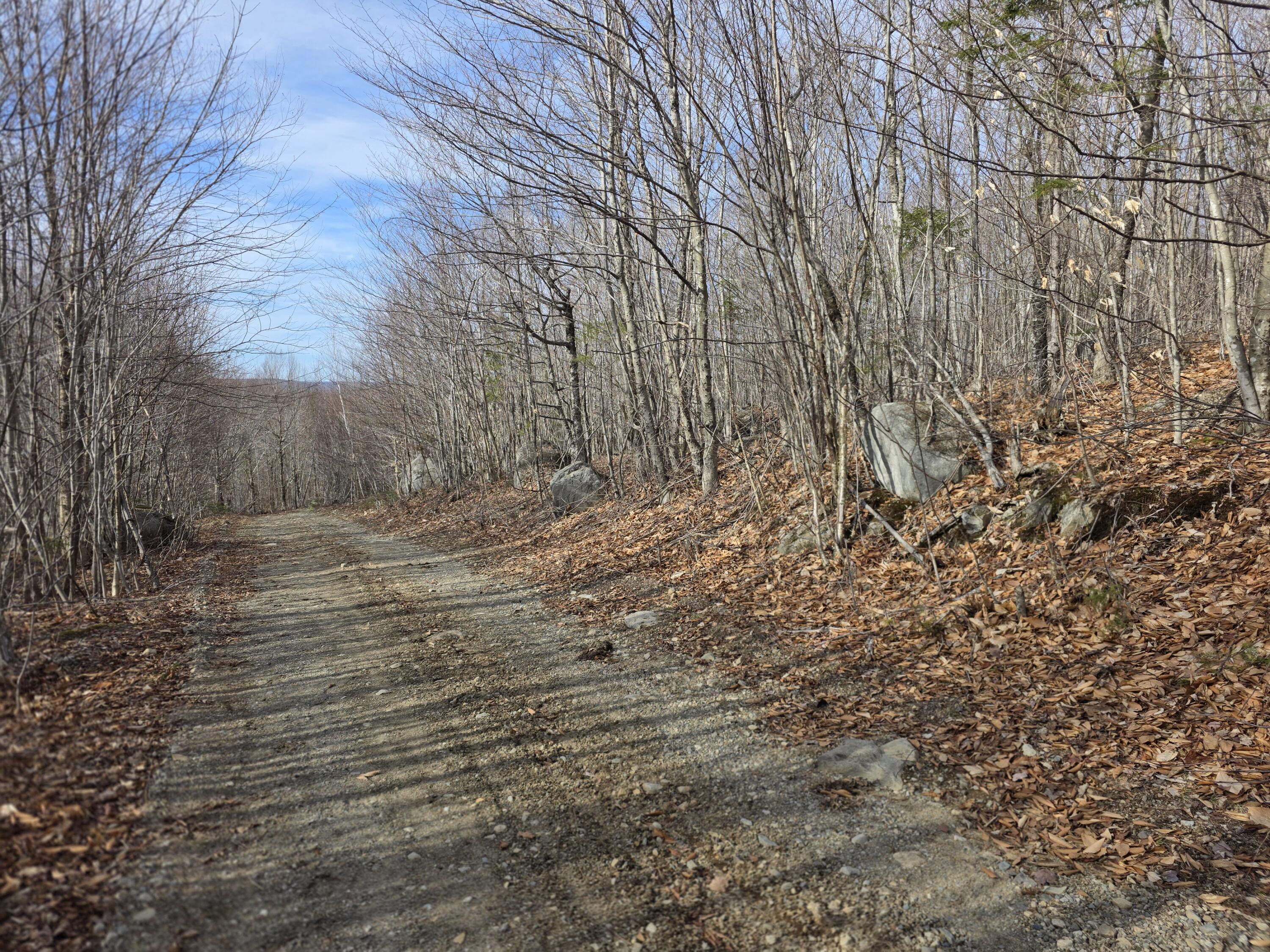 L 10 Moose Ridge Road Oakfield ME 04763