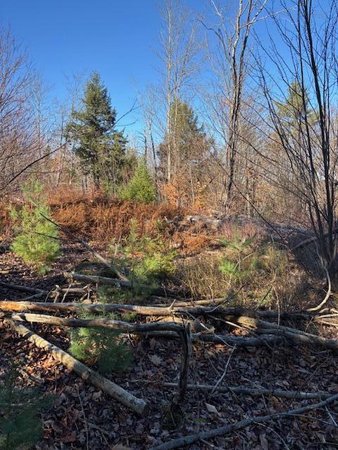 M 6, L 32 Main Street Wayne ME 04284