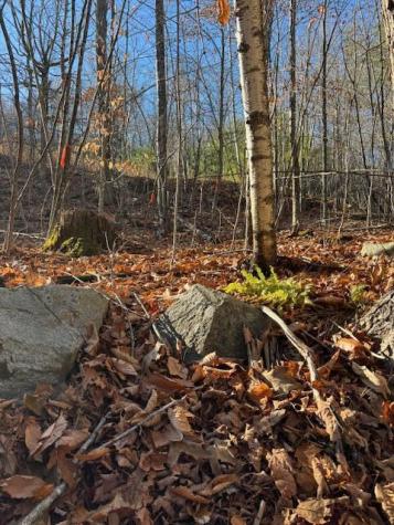 M 6, L 32 Main Street Wayne ME 04284