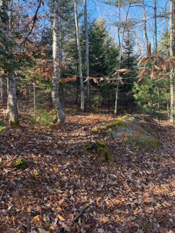 M 6, L 32 Main Street Wayne ME 04284