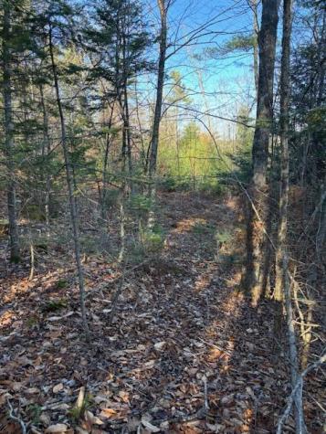 M 6, L 32 Main Street Wayne ME 04284