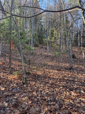 M 6, L 32 Main Street Wayne ME 04284