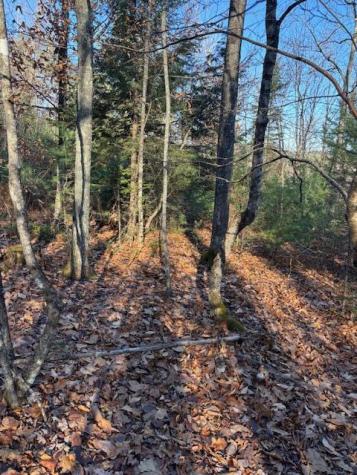 M 6, L 32 Main Street Wayne ME 04284