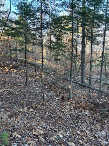 M 6, L 32 Main Street Wayne ME 04284