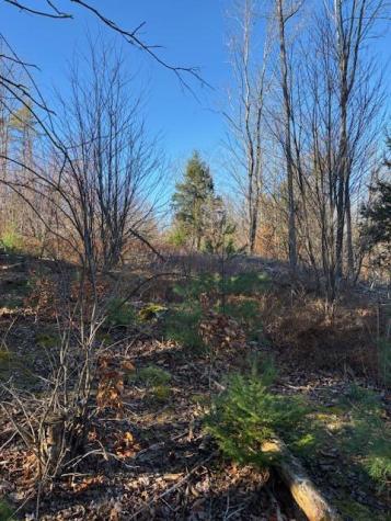 M 6, L 32 Main Street Wayne ME 04284