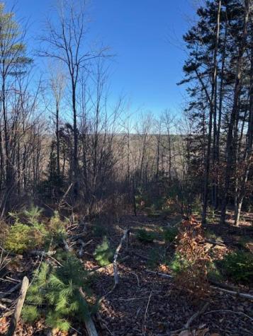 M 6, L 32 Main Street Wayne ME 04284