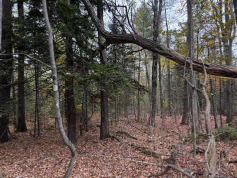 M9 L59 North Belfast Avenue Vassalboro ME 04989