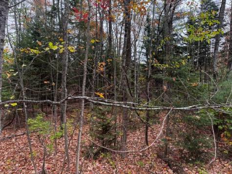 M9 L59 North Belfast Avenue Vassalboro ME 04989