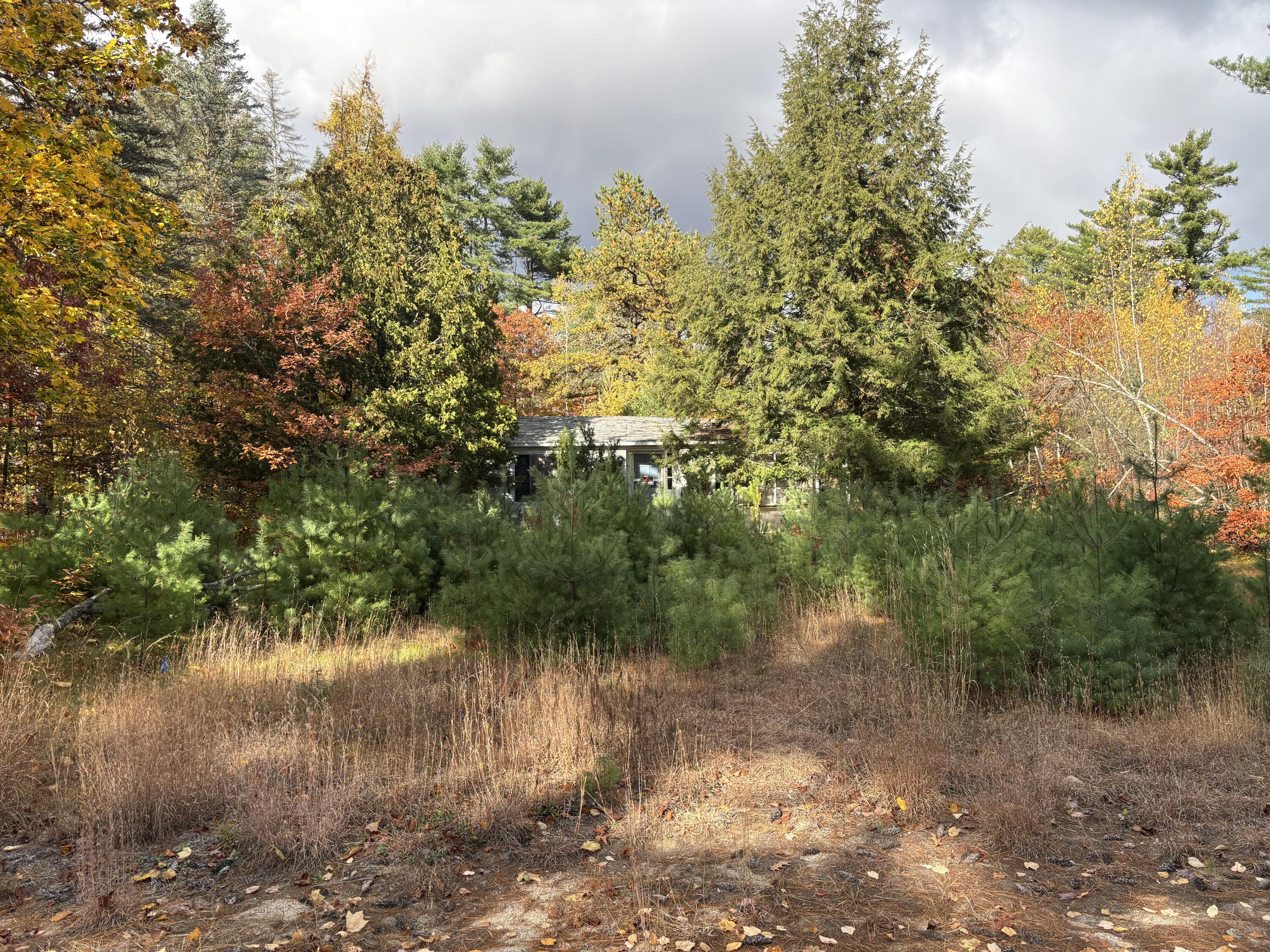 46 Woodland Street Fryeburg ME 04037
