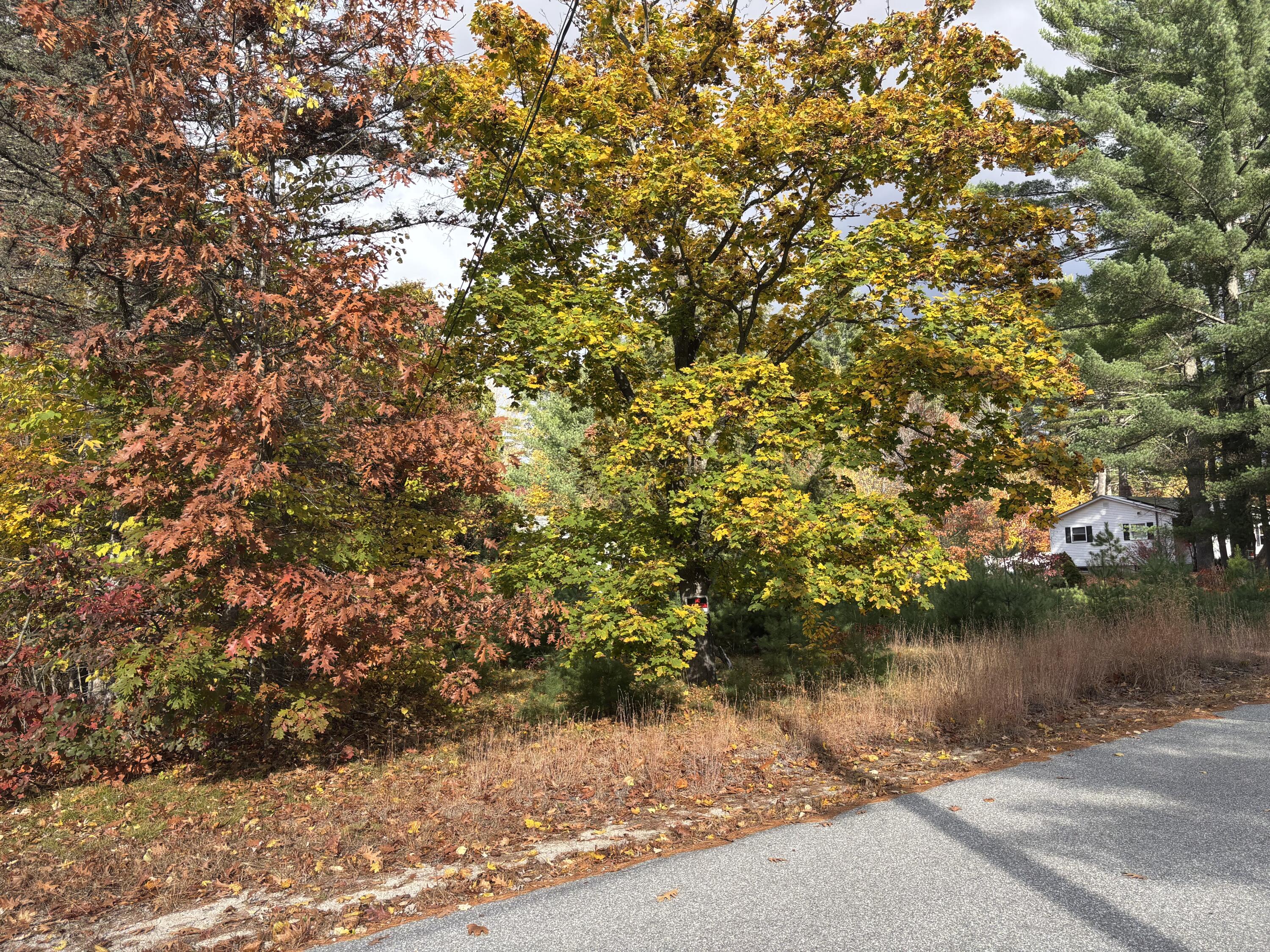 46 Woodland Street Fryeburg ME 04037