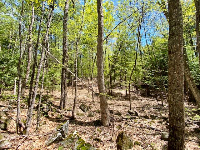 1029 North Road Parsonsfield ME 04047