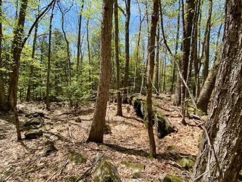 1029 North Road Parsonsfield ME 04047