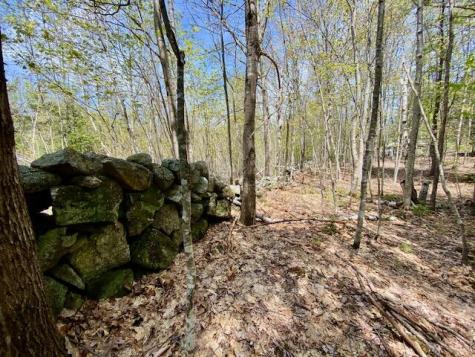 1029 North Road Parsonsfield ME 04047