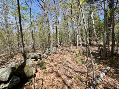 1029 North Road Parsonsfield ME 04047