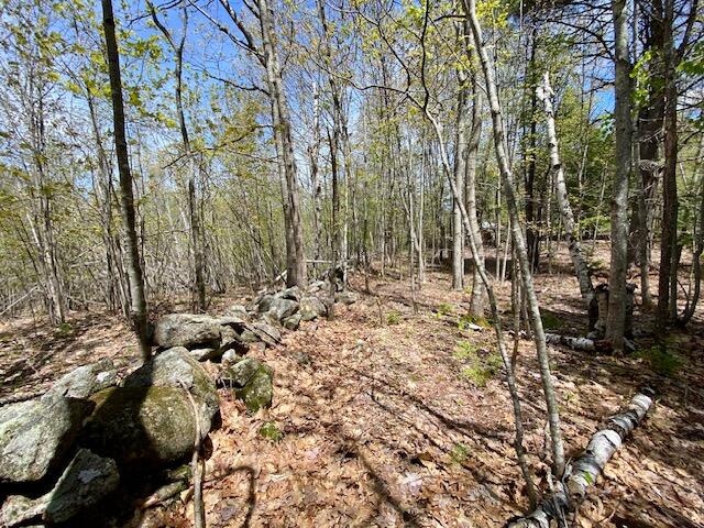 1029 North Road Parsonsfield ME 04047