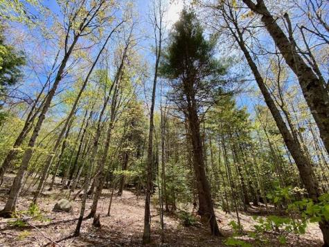 1029 North Road Parsonsfield ME 04047