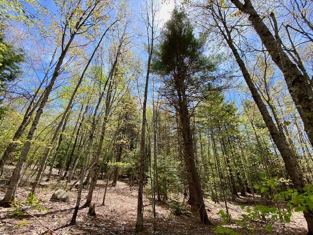 1029 North Road Parsonsfield ME 04047