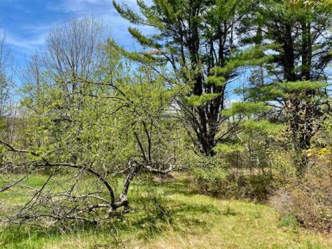 1029 North Road Parsonsfield ME 04047