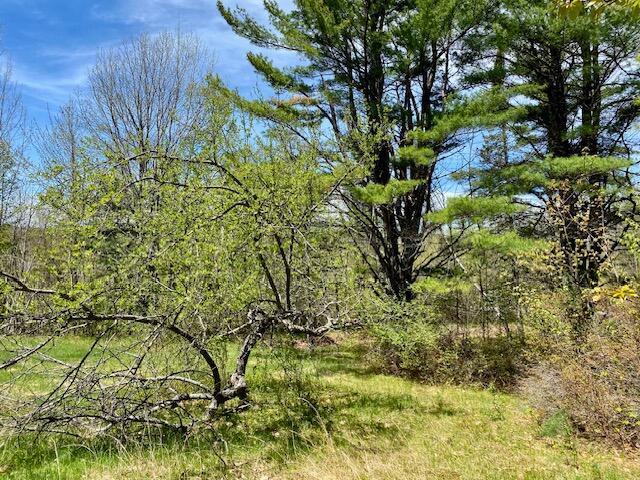 1029 North Road Parsonsfield ME 04047