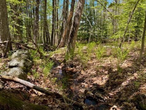 1029 North Road Parsonsfield ME 04047