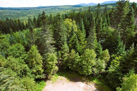 Lot 59 Left Branch Of Summit Road Sandy River Plt ME 04970