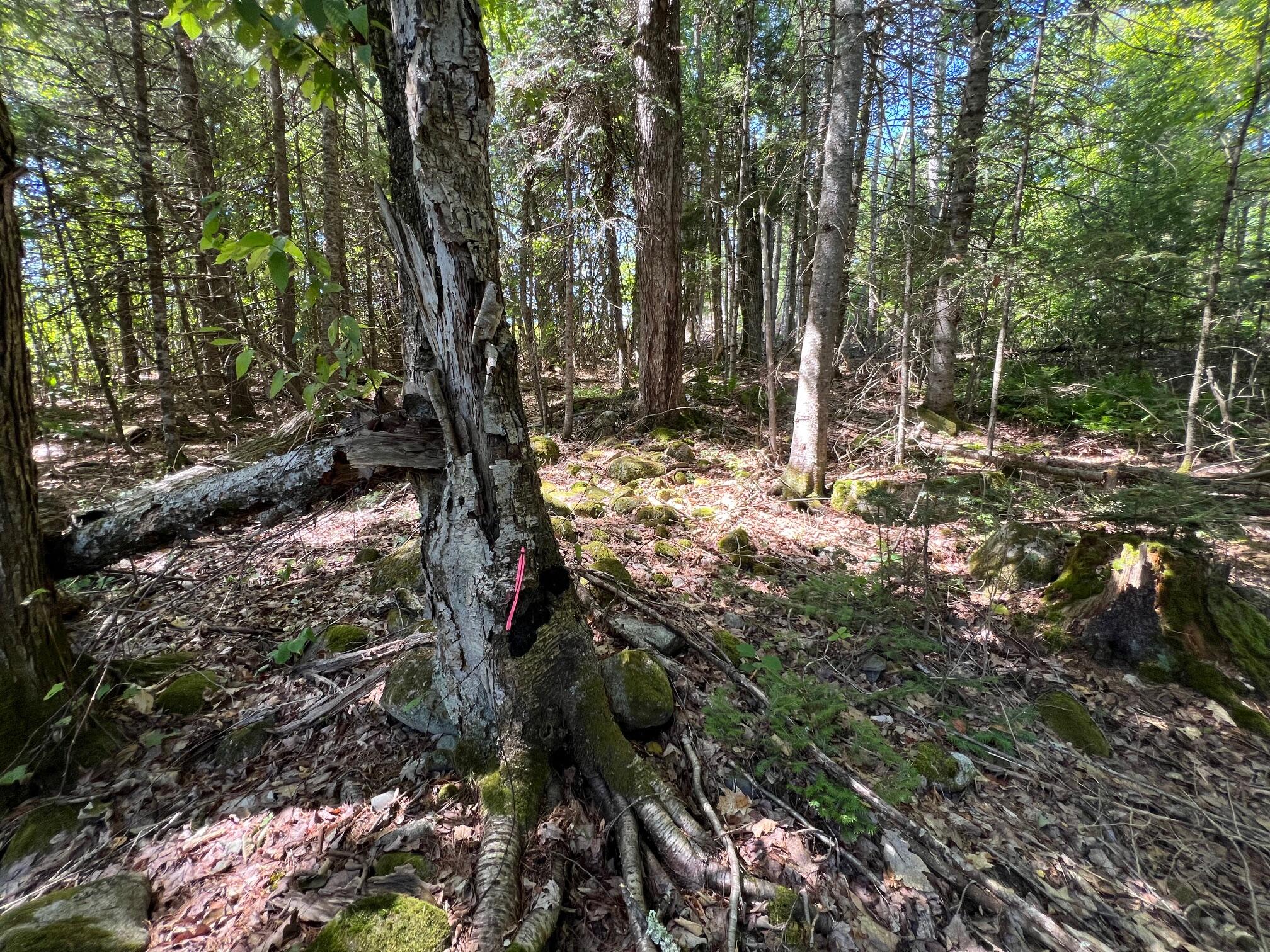 Map 3 Lot 11-12 Beans Corner Road Hartland ME 04943