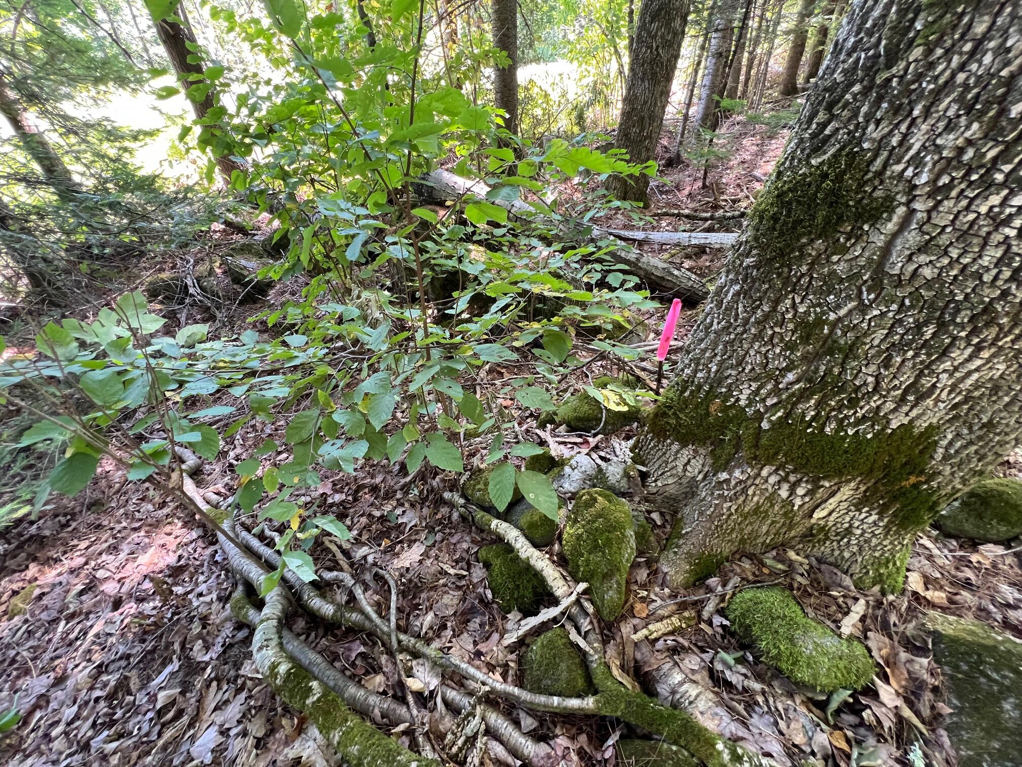 Map 3 Lot 11-12 Beans Corner Road Hartland ME 04943