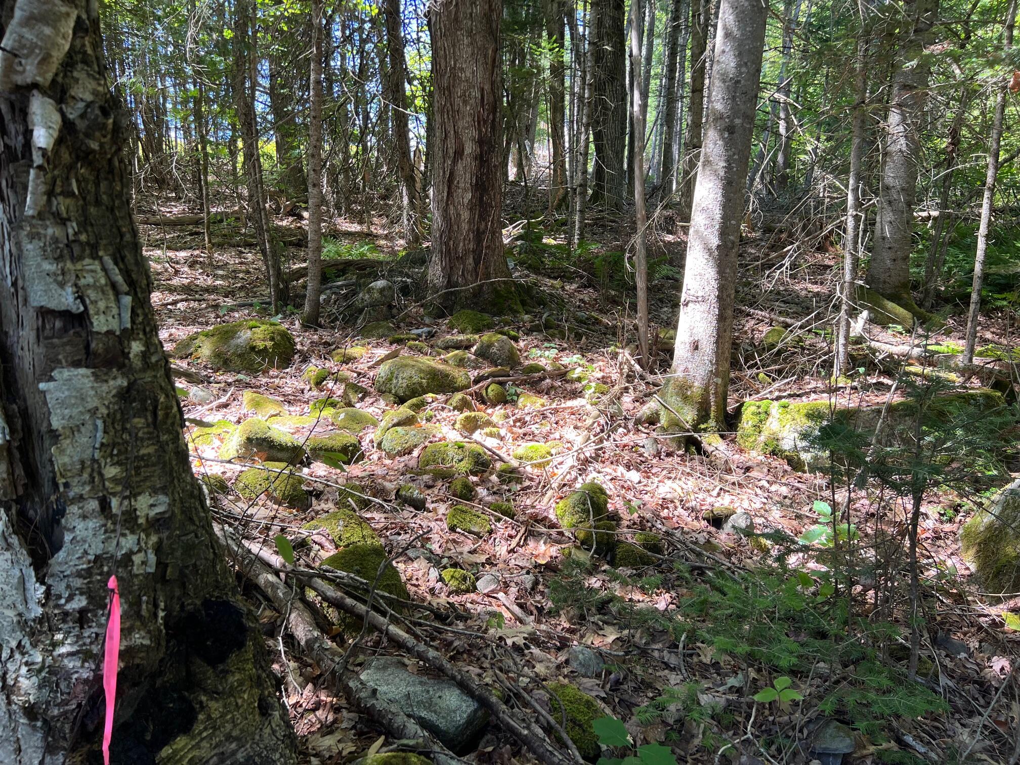 Map 3 Lot 11-12 Beans Corner Road Hartland ME 04943