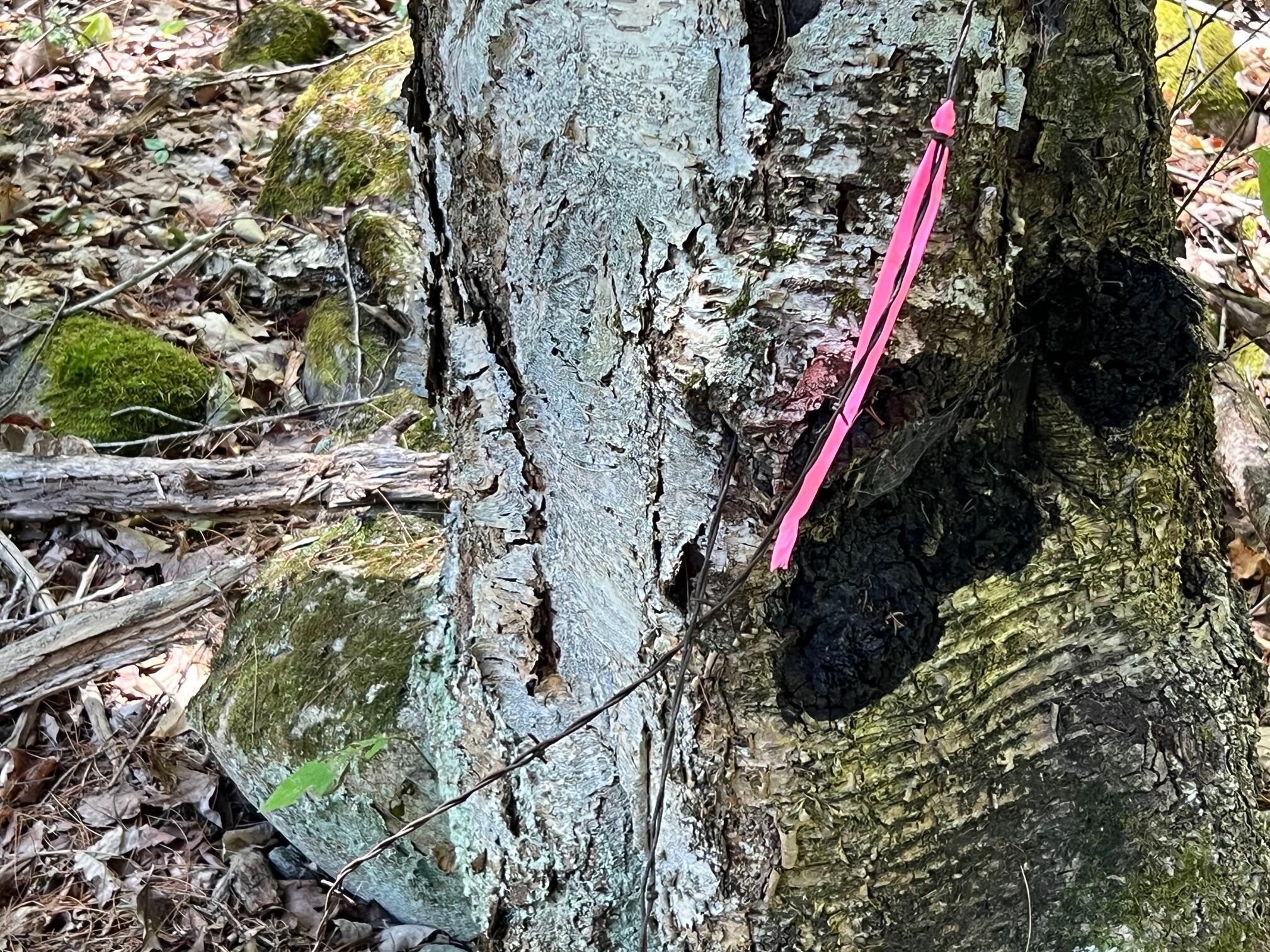 Map 3 Lot 11-12 Beans Corner Road Hartland ME 04943