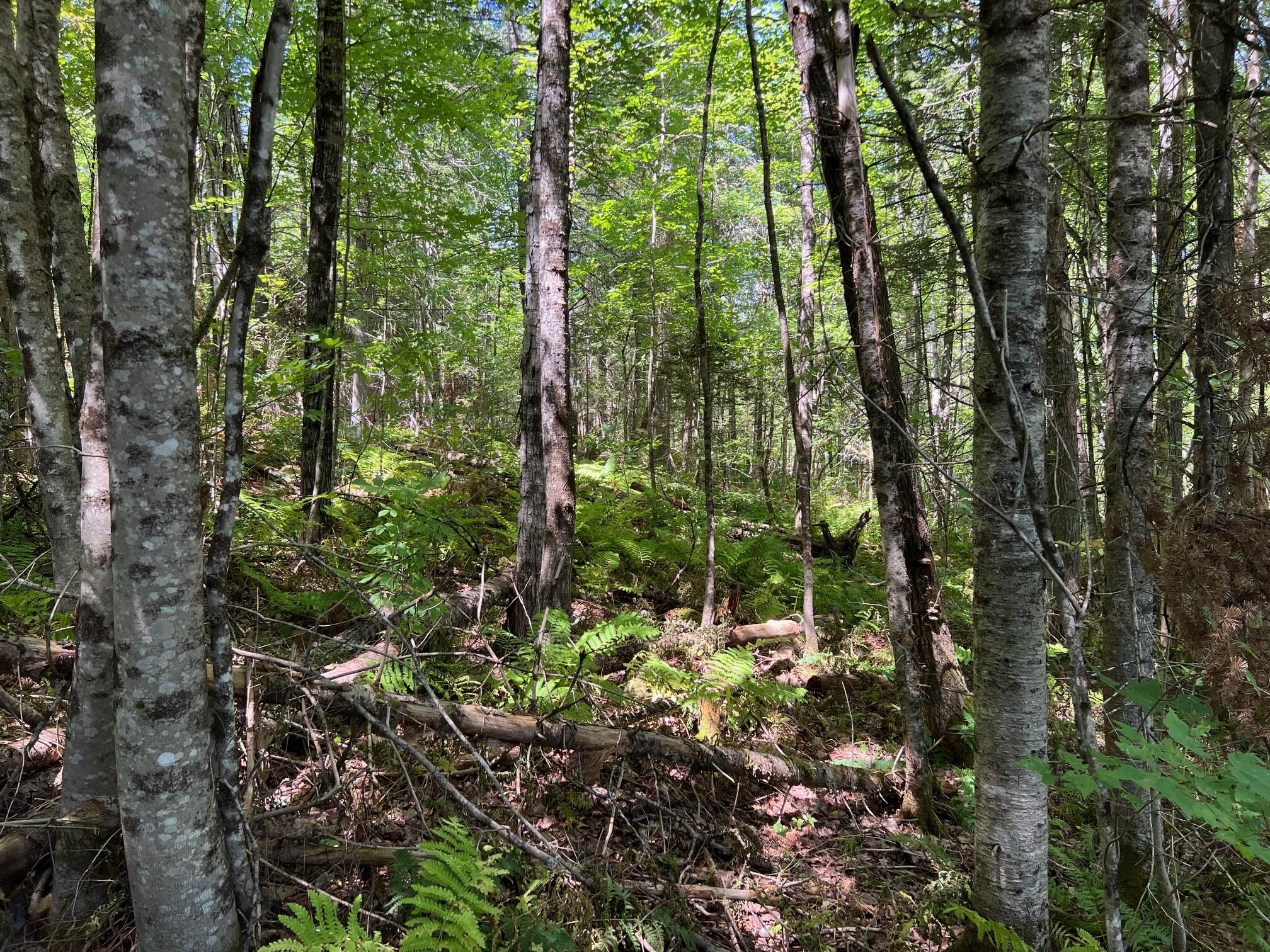 Map 3 Lot 11-12 Beans Corner Road Hartland ME 04943